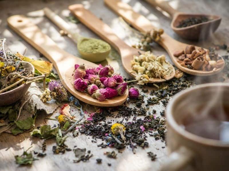 Traditional Chinese herbal teas and dried herbs on wooden spoons